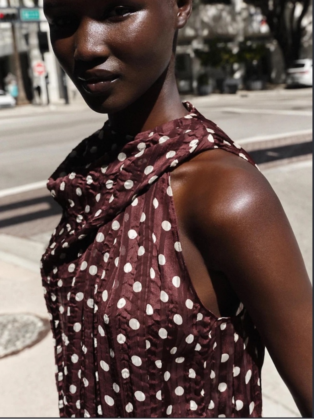 Zara Polka Dot Blouse